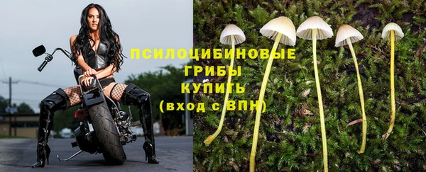 скорость Баксан