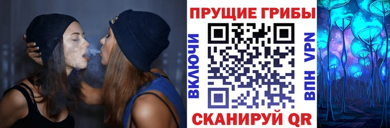 Галлюциногенные грибы Psilocybe  Кстово 